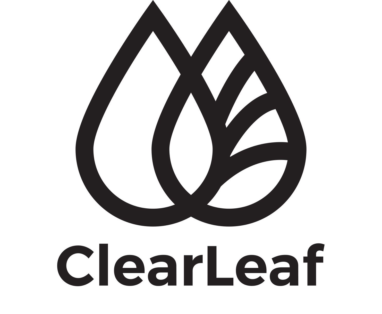 logo+CL+transparent